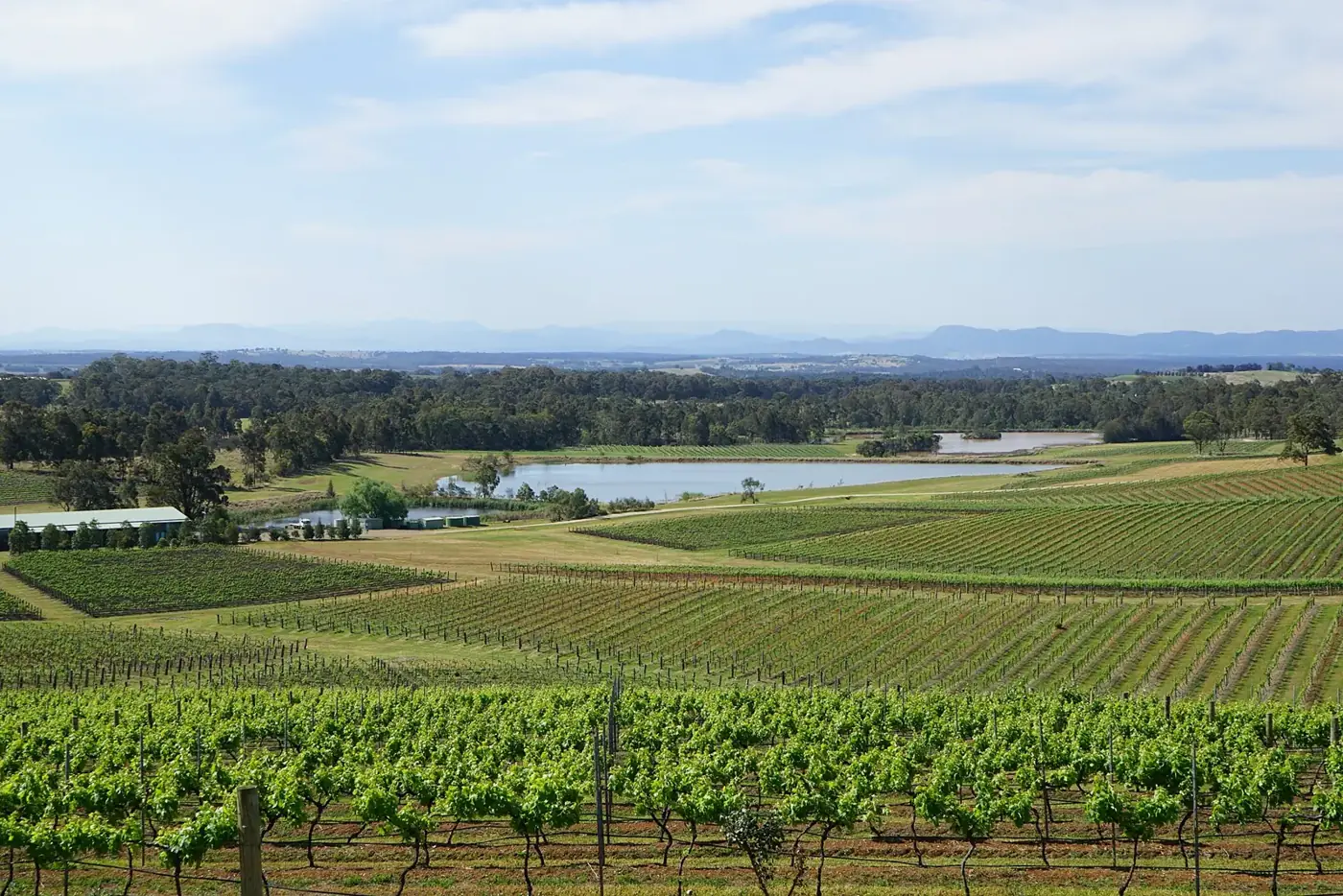Hunter Valley Wineries