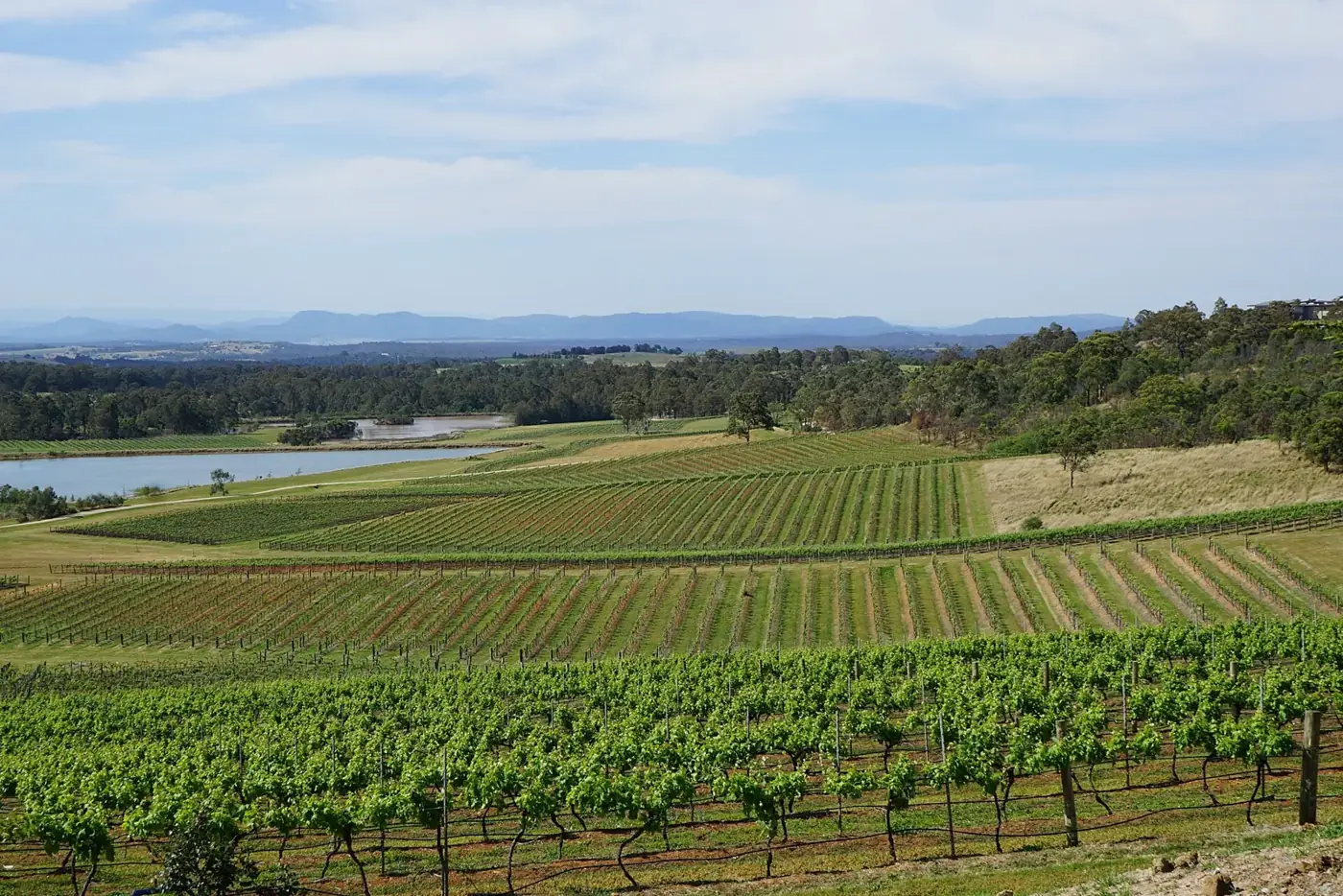 Hunter Valley Wineries