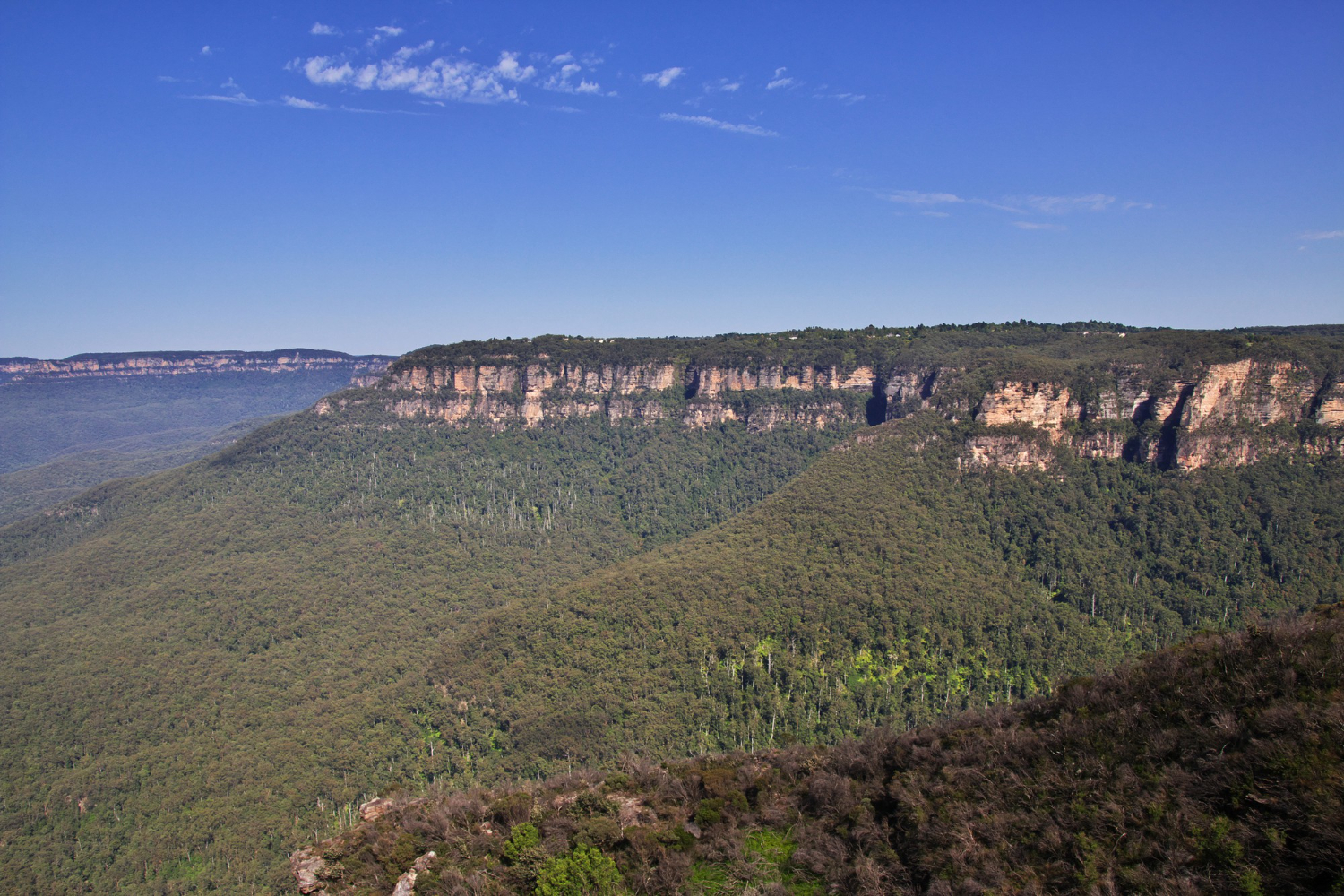 Blue Mountains day trip